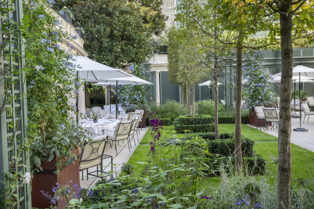 Jardin Terrasse Le Bristol Paris