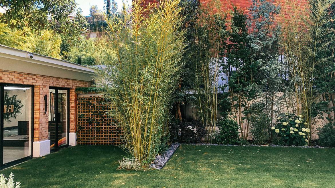 Un jardin urbain pour amener de la biodiversité en ville