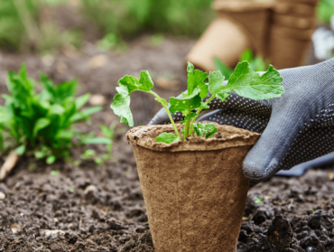 Trois bonnes pratiques pour jardiner au naturel