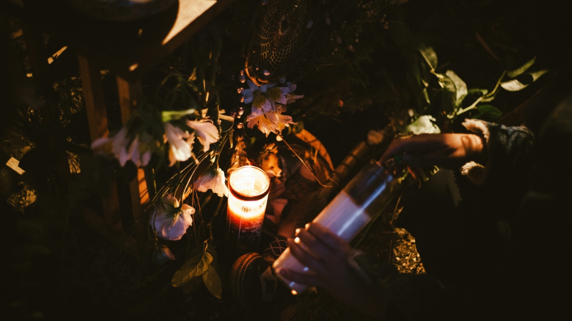 Ces 8 plantes qui n&rsquo;ont presque pas besoin de lumière