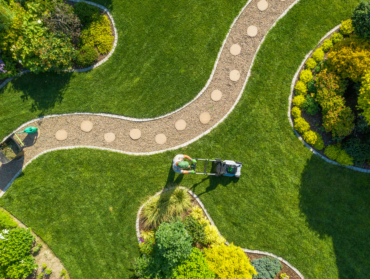 Quelles plantes couvre sol pour remplacer le gazon ?
