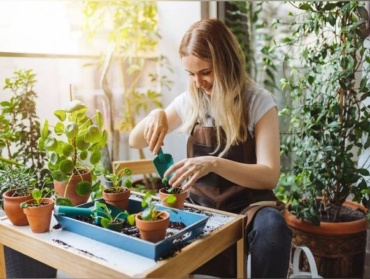 10 plantes très faciles à bouturer pour les jardiniers débutants