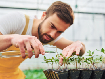 8 métiers à faire si tu aimes les plantes