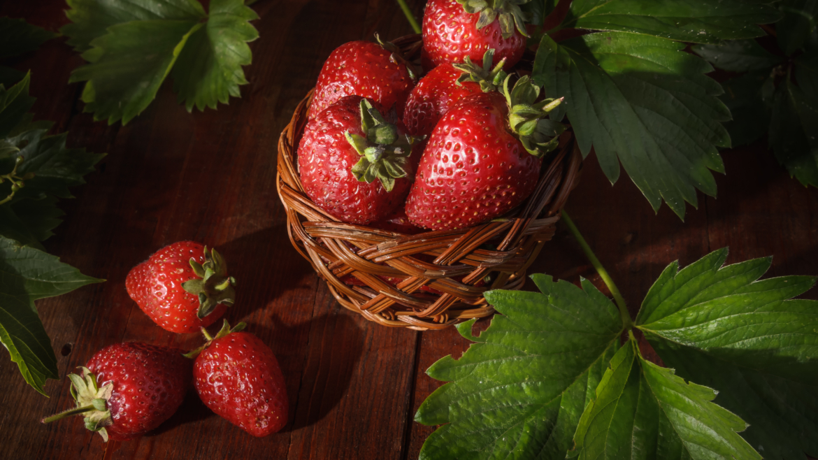 Jardinage : Cultiver des Fraisiers sur Son Balcon avec Succès