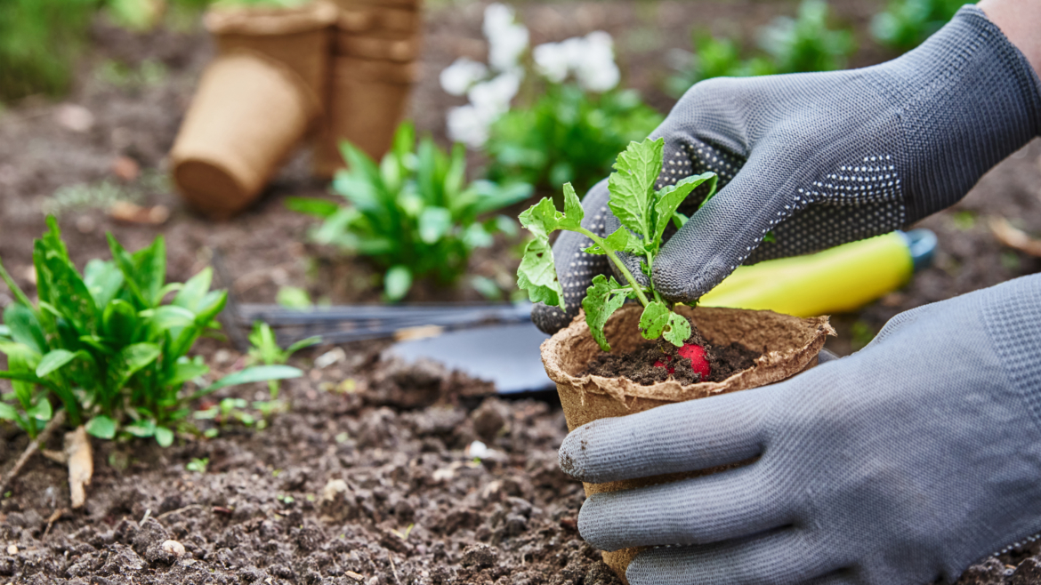 Conseils Ingénieux pour un Jardin Superbe et Sans Effort