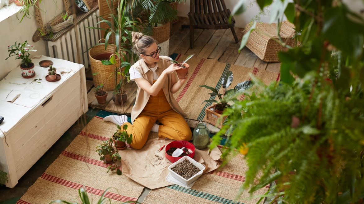Plantes Idéales pour les Jardiniers en Herbe : Pas Besoin de Main Verte !