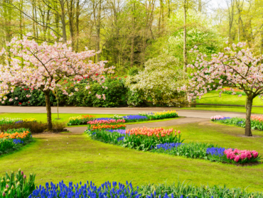 Entrenir son jardin au printemps : Interview avec un Paysagiste
