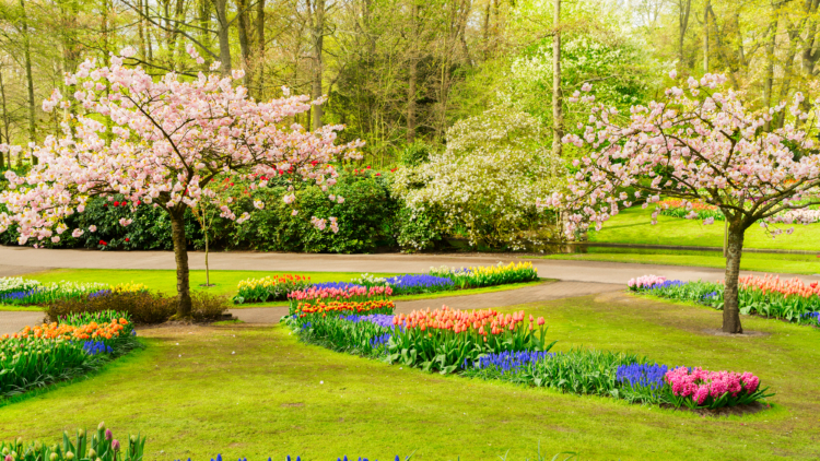 Entrenir son jardin au printemps : Interview avec un Paysagiste