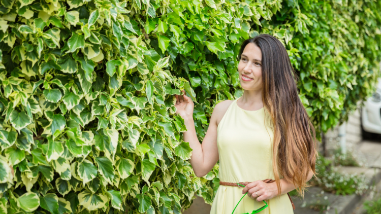 Les Plantes qui Poussent le Plus Vite : Fleurs, Arbustes et Arbres pour un Jardin Express