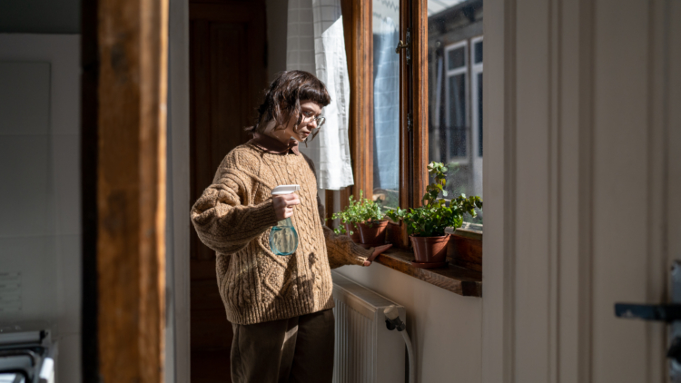 Protégez votre maison de l’humidité avec ces plantes d’intérieur efficaces