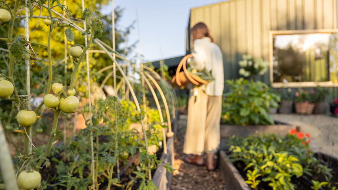 Comment Débuter un Potager en Automne : Guide Facile pour les Débutants