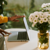 3 Plantes Dépolluantes pour Purifier l’Air de Votre Bureau et Stimuler Votre Productivité