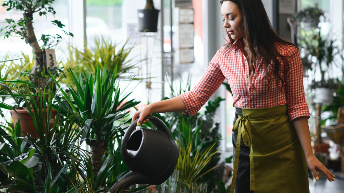 Faut-il Arroser ses Plantes en Hiver ? Conseils et Bonnes Pratiques