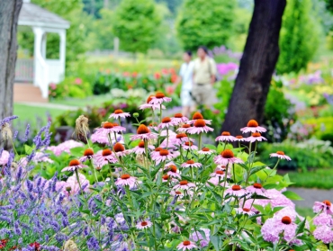 Tendances jardin 2025 : plantes à adopter pour un extérieur vivant