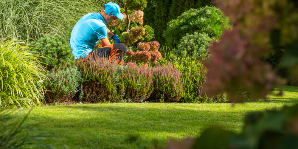 Un propriétaire caucasien d'une quarantaine d'années effectue l'entretien de son jardin à la fin de l'été.