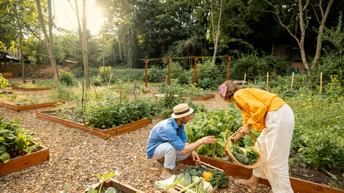 Jardinage : voici les légumes les plus rentables à faire pousser chez soi