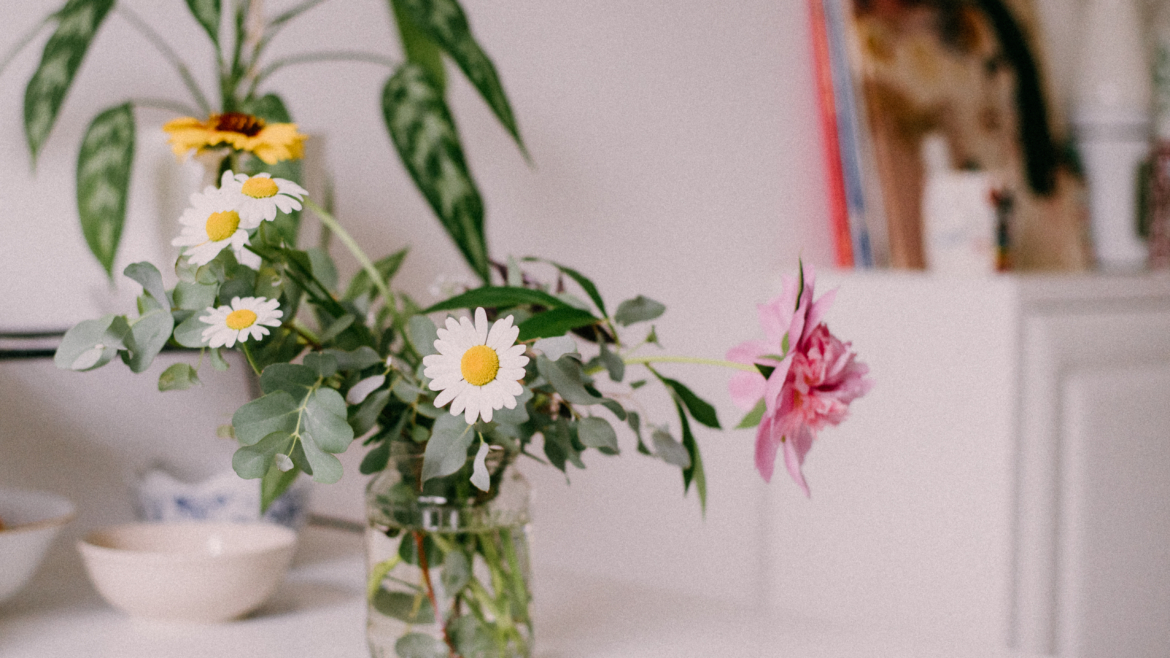 7 plantes pour rafraîchir naturellement votre intérieur