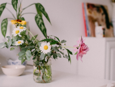 7 plantes pour rafraîchir naturellement votre intérieur