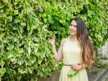 Plantes grimpantes pour rafraîchir sa maison