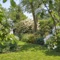 Aménager son jardin pour protéger la biodiversité en cas de canicule
