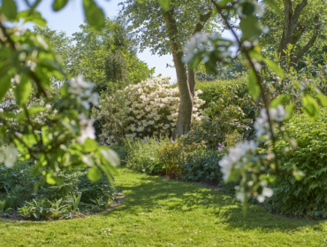 Aménager son jardin pour protéger la biodiversité en cas de canicule