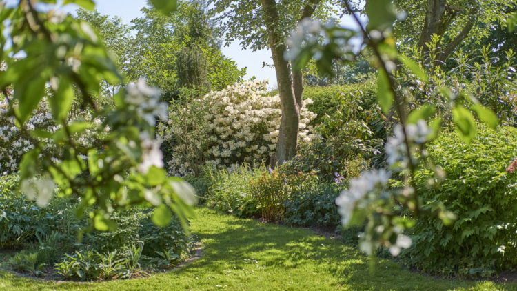 Aménager son jardin pour protéger la biodiversité en cas de canicule