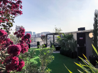 Aménagement de jardins sur le toit : créer un écrin de verdure en hauteur