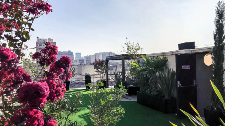 Aménagement de jardins sur le toit : créer un écrin de verdure en hauteur