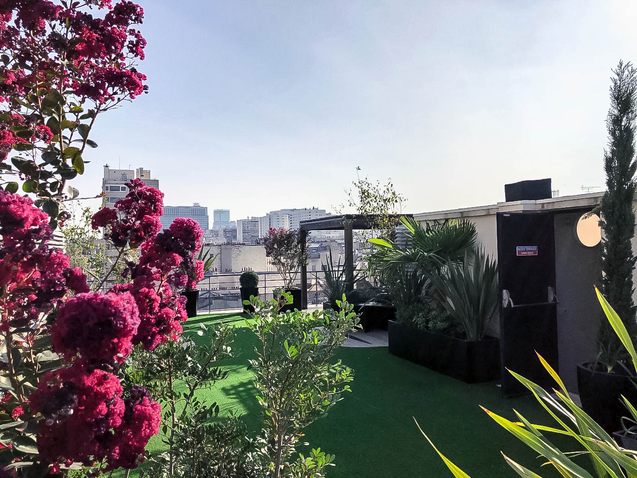 Aménagement végétalisé d’un toit-terrasse à Paris avec pelouse synthétique, plantes méditerranéennes et vue sur les immeubles de Paris.