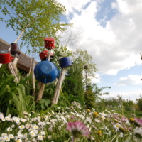 3 plantes increvables qui nourrissent naturellement le sol