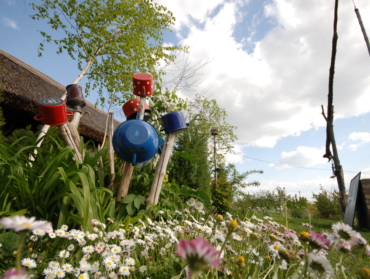 3 plantes increvables qui nourrissent naturellement le sol