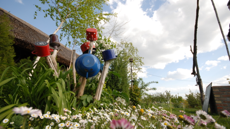 3 plantes increvables qui nourrissent naturellement le sol