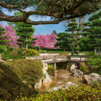 Le plus grand jardin japonais d’Europe est en France