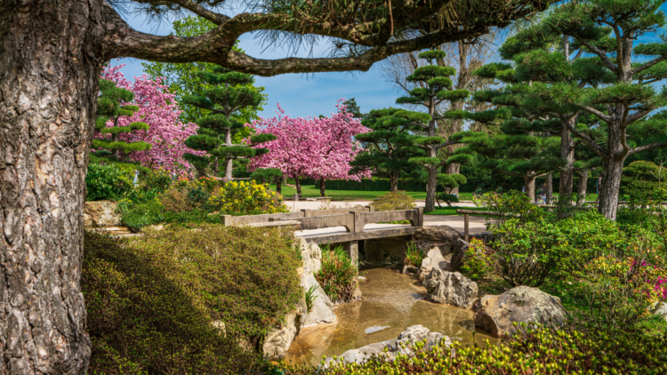 Le plus grand jardin japonais d’Europe est en France