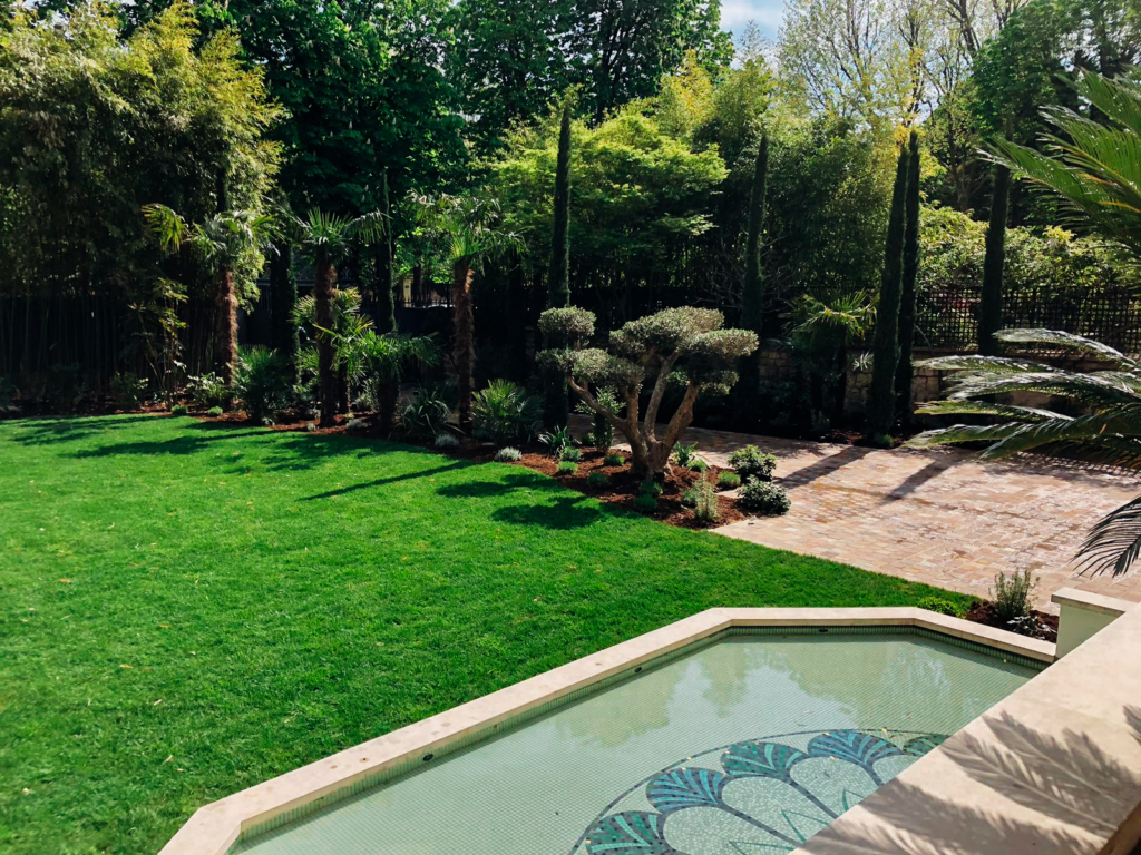 Jardin méditerranéen avec olivier sculpté, palmiers, pelouse verdoyante et bassin décoratif en mosaïque.