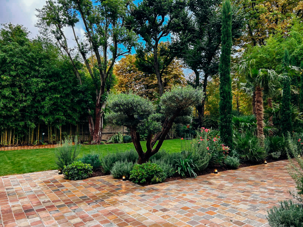 Terrasse en pavés anciens avec olivier sculpté, cyprès, palmiers et massifs méditerranéens dans un jardin luxuriant.