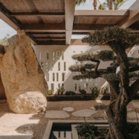 Comment créer un jardin méditerranéen luxueux pour votre propriété ?