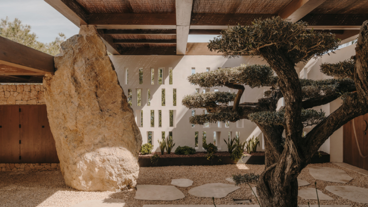 Comment créer un jardin méditerranéen luxueux pour votre propriété ?