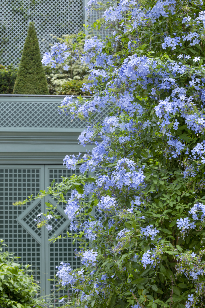Terrasse de l’hôtel Le Bristol à Paris sublimée par une végétation fleurie et un aménagement paysager réalisé par un paysagiste hôtel.