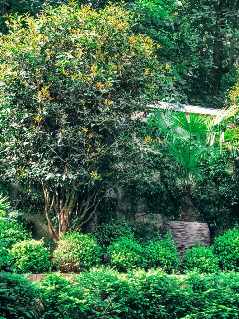 SCI_Nadej (9 of 36) Aménagement paysager avec arbres, arbustes persistants et massifs végétalisés dans un jardin structuré et verdoyant.