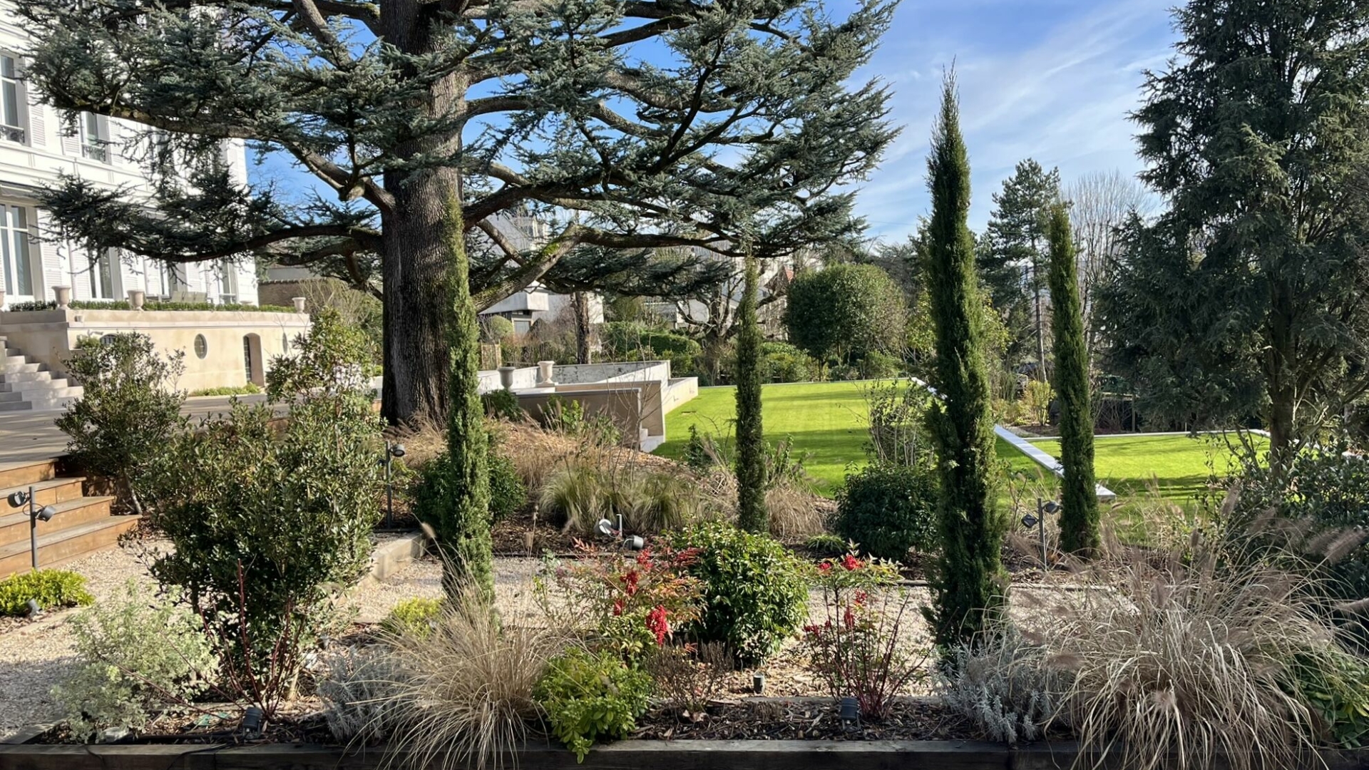 Jardin en pente avec cèdre centenaire et cyprès, aménagement paysager avant travaux, propriété du Val-d'Oise