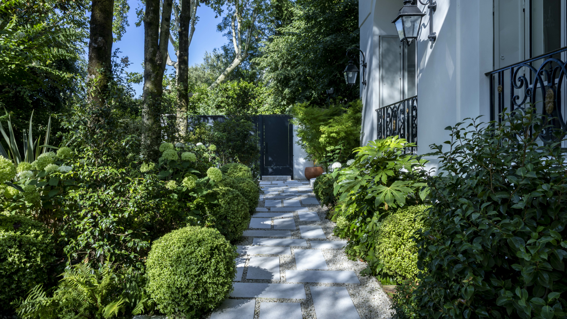 Allée entourée de haies et d'hortensias développés, trois ans après la plantation