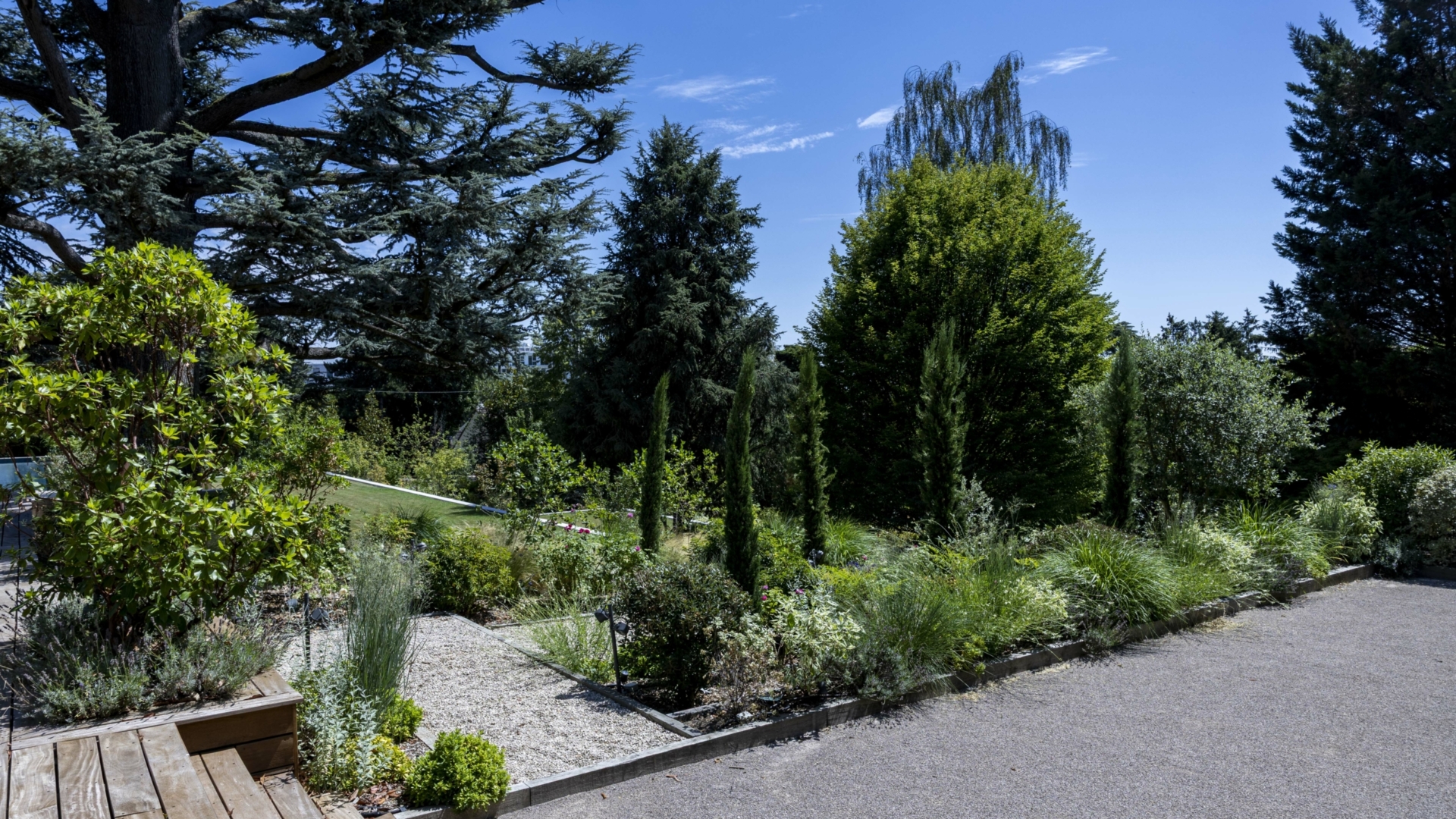 Terrasse en bois et massifs de cyprès matures après aménagement paysager, jardin en pente Val-d'Oise