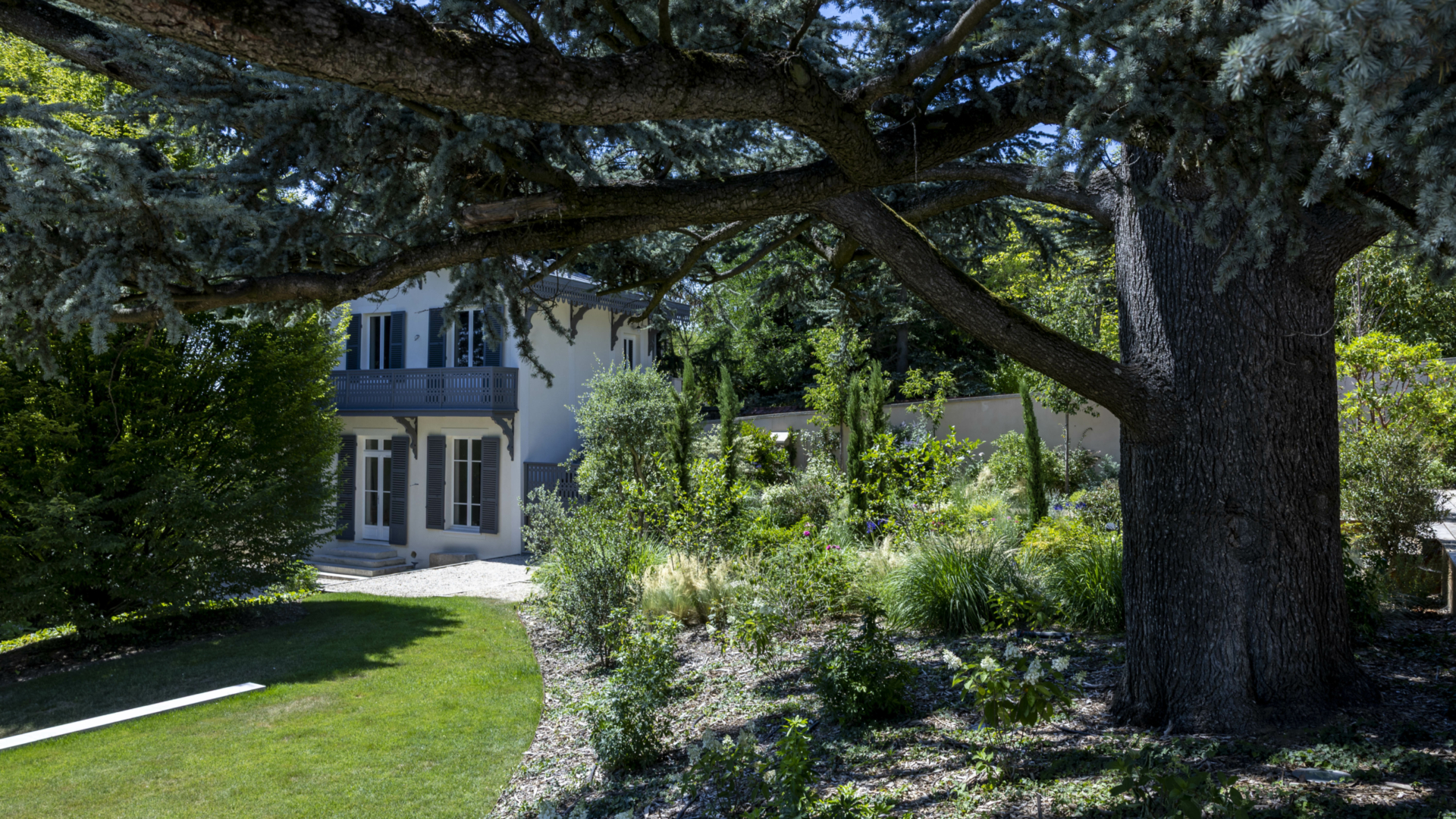 Massifs de graminées et cyprès matures devant demeure du Val-d'Oise, jardin paysager après aménagement