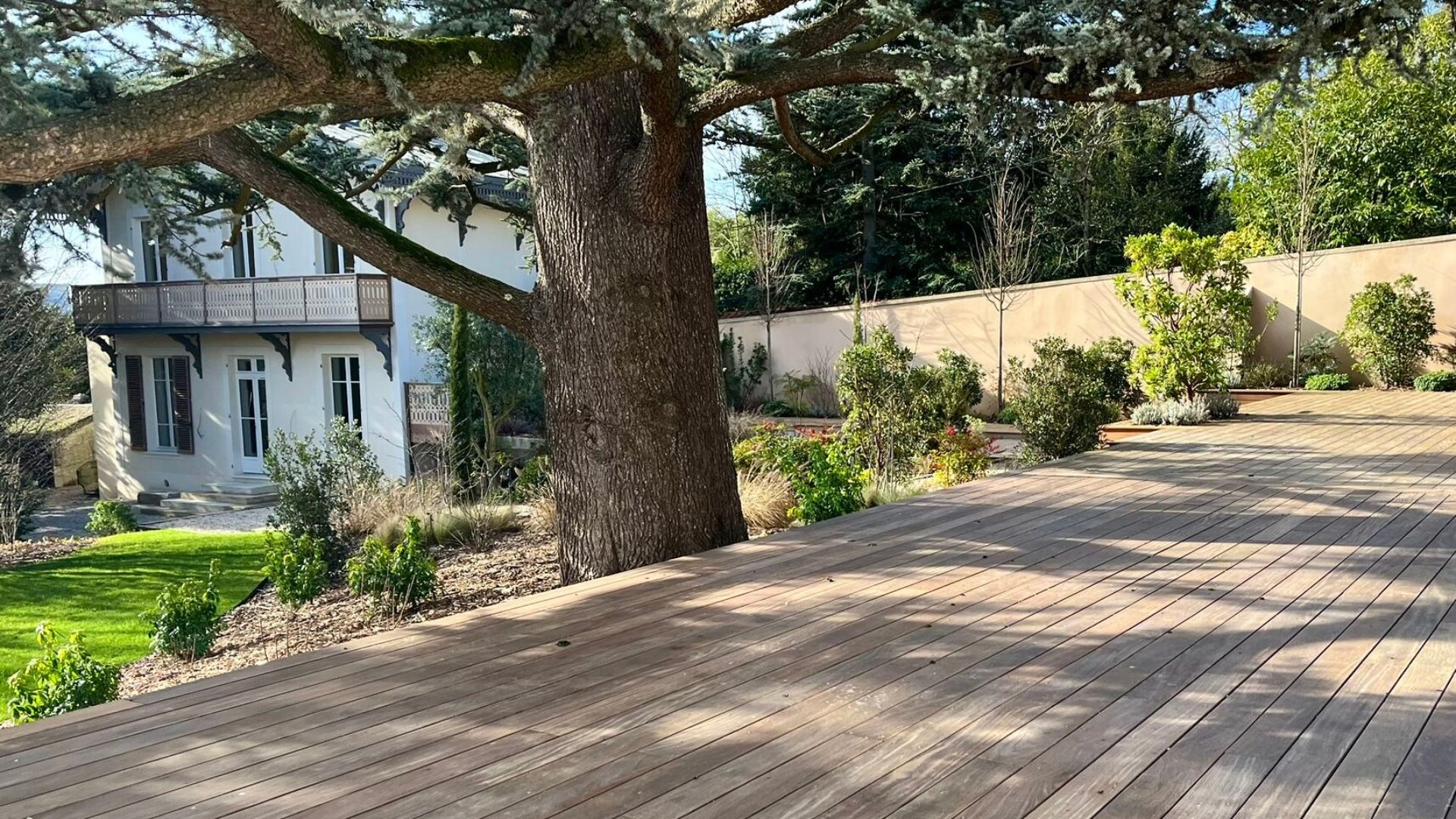 Terrasse en bois sous cèdre centenaire avant plantation, propriété paysagère Val-d'Oise