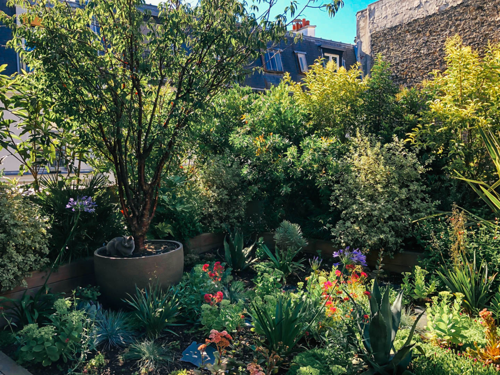 Jardin urbain luxuriant avec arbres en pot, massifs fleuris et végétation dense en cœur de ville