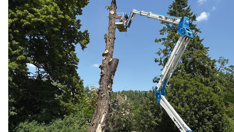 Le Monde des Jardins à l&rsquo;honneur dans Profession Paysagiste