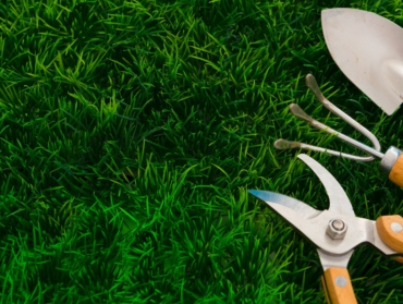 Quel prix et quel budget pour refaire son jardin avec un paysagiste ?