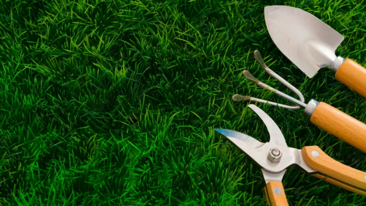 Quel prix et quel budget pour refaire son jardin avec un paysagiste ?