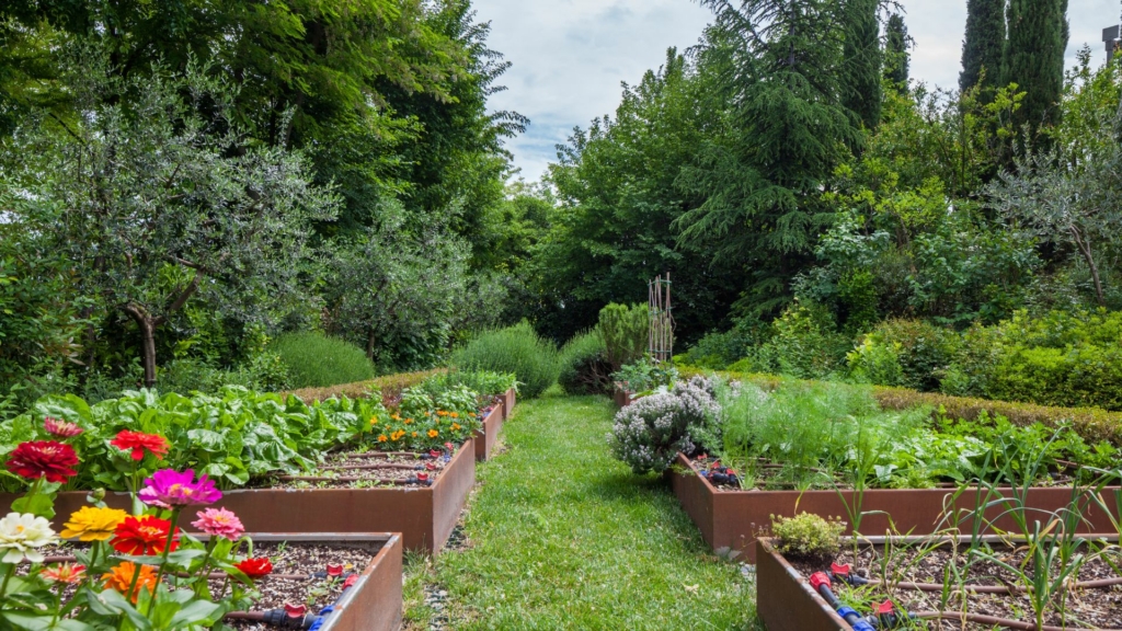 jardin nourricier Jardin nourricier avec carrés potagers surélevés, légumes, fleurs comestibles et allées engazonnées dans un espace paysager naturel